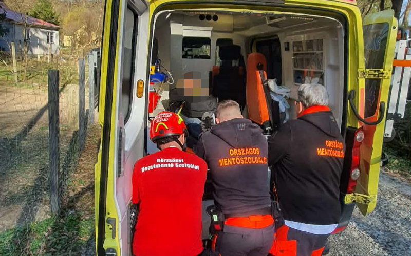 Bokasérült a Morgó pataknál (2026.03.19.) - 20260319 3