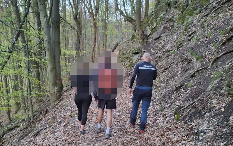 Being Hit by a Car, Getting Lost, and Collapsing in the Börzsöny Mountains (2026.04.18.) - 20260418 eltevedes 1