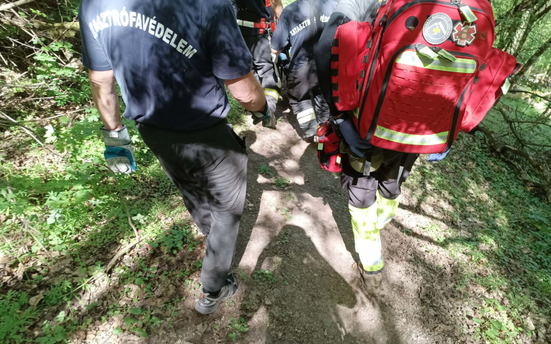 Hiker with a leg injury in Nagymaros (2026.04.18.) - 20260418 3