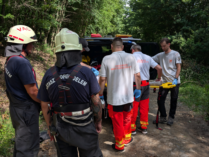 Seriously Injured on Naszály mountain (2026.06.06.) - 20260606 naszaly 2