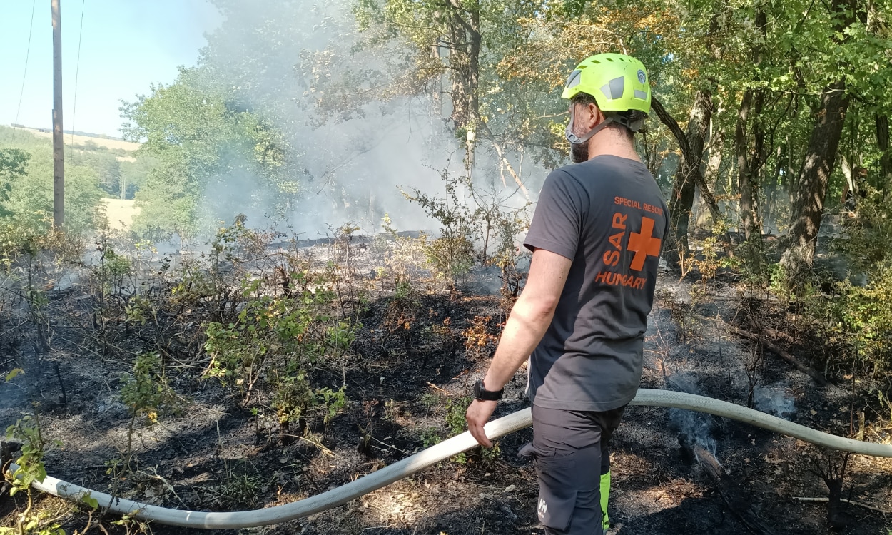 Tűz a Börzsönyben a Tamás-hegyen (2026.08.09.) - 20260809 1 3www