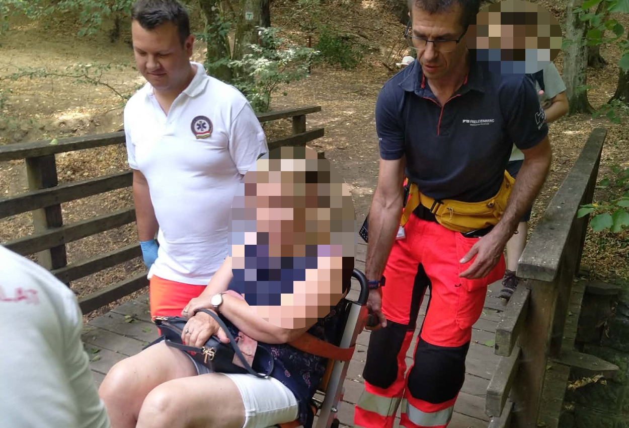 Bokasérült Királyréten (2026.08.10.) - 20260810 1 2www